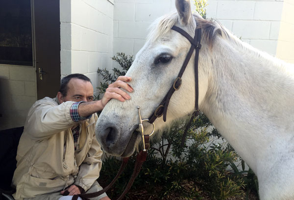 Meggsy the grey horse visited Wamuran residents.