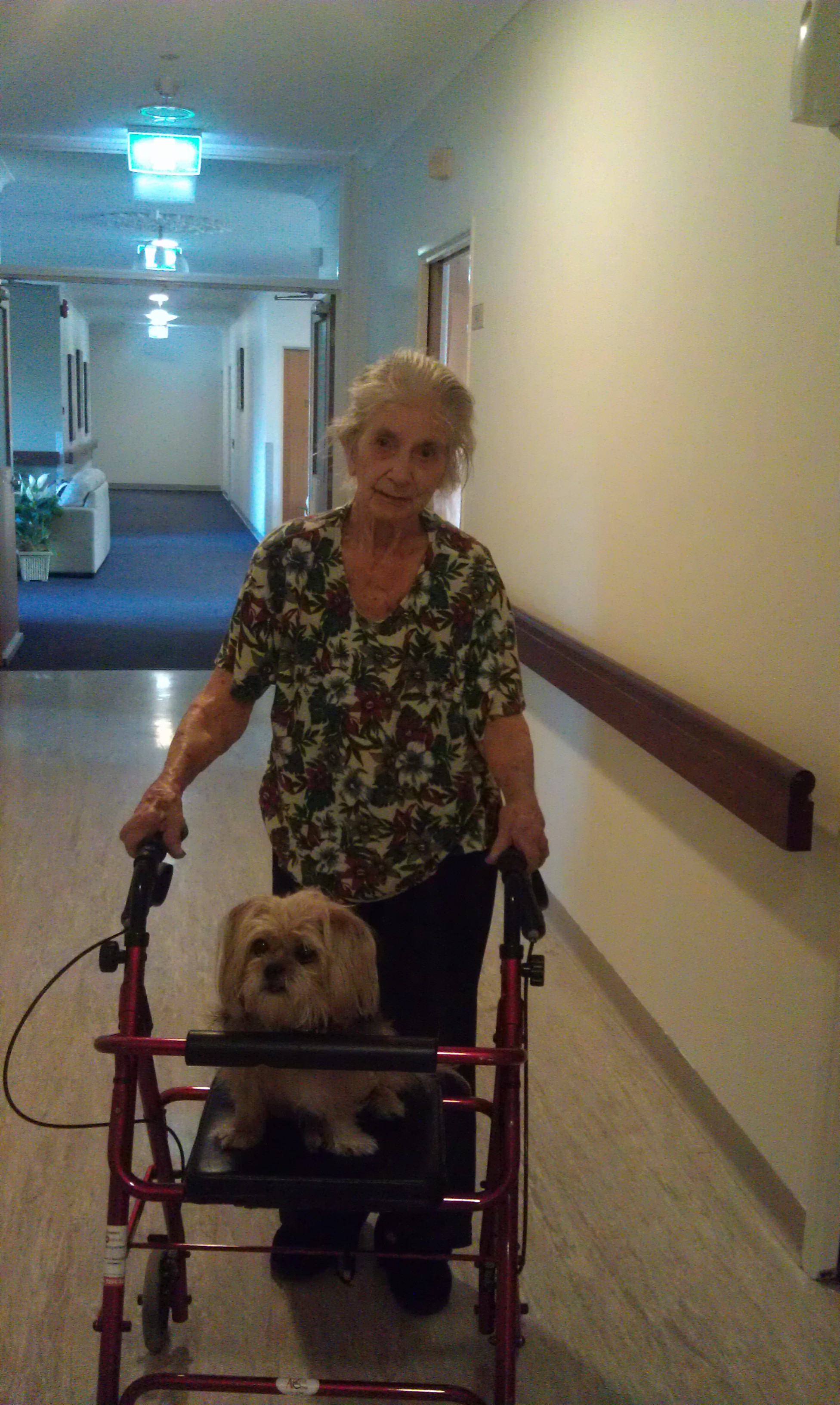 3 Dog Day At Peninsula