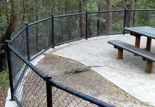 Beaumont Care Glasshouse Mountains lookout trip