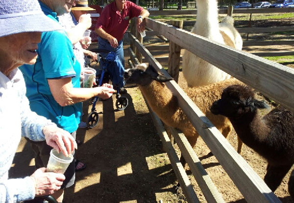 White Ridge Farm