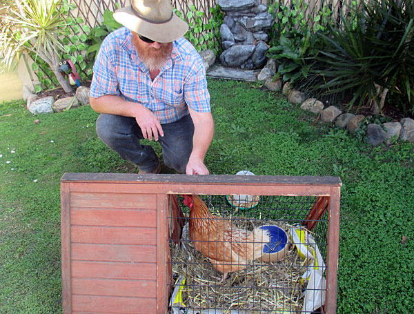 Chook Ekka at Rothwell