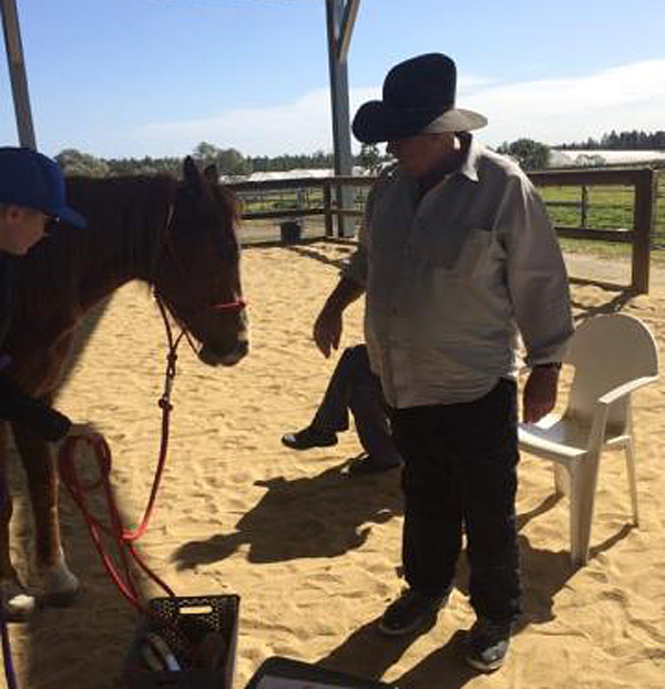 Horse Therapy - NDIS at Beaumont Care Independent Living